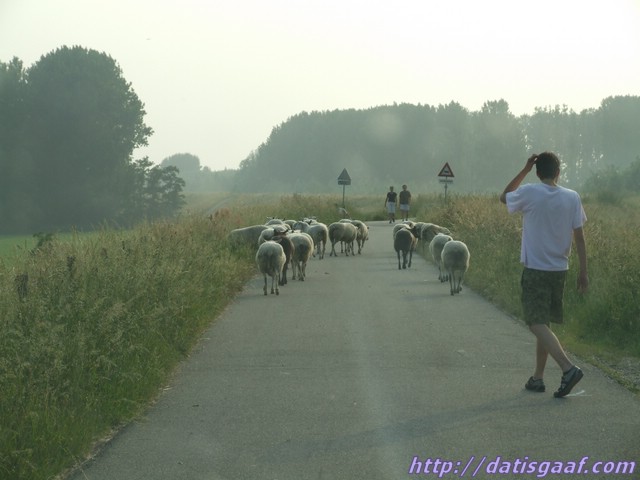 Copyright © DatisGaaf.com