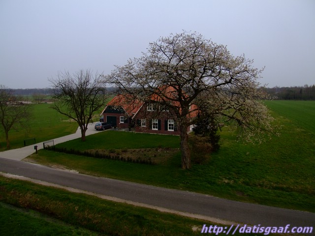 Copyright © DatisGaaf.com