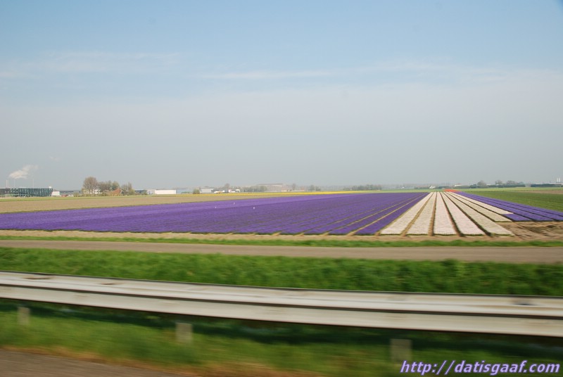 Copyright © DatisGaaf.com