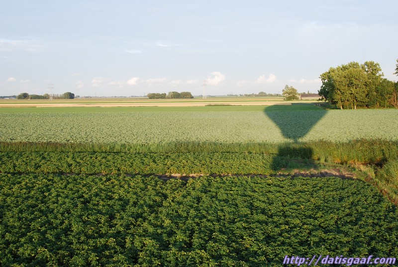 Copyright © DatisGaaf.com